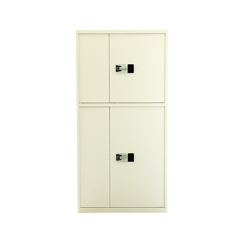 National Security Double Festival Confidentiality Metal Cabinet